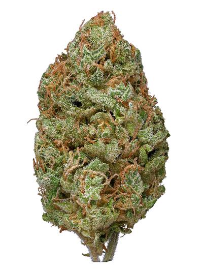 Bubble Gum - Hybrid Cannabis Strain