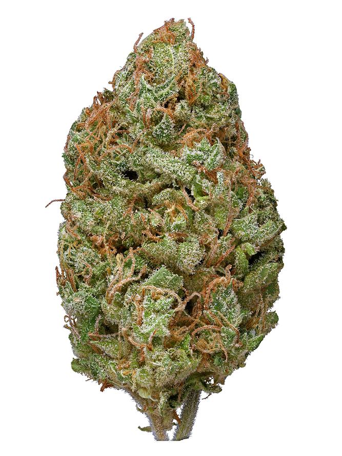Bubblegum Auto Seeds - High Quality Marijuana