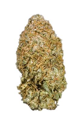 Bubblegun - Híbrida Cannabis Strain