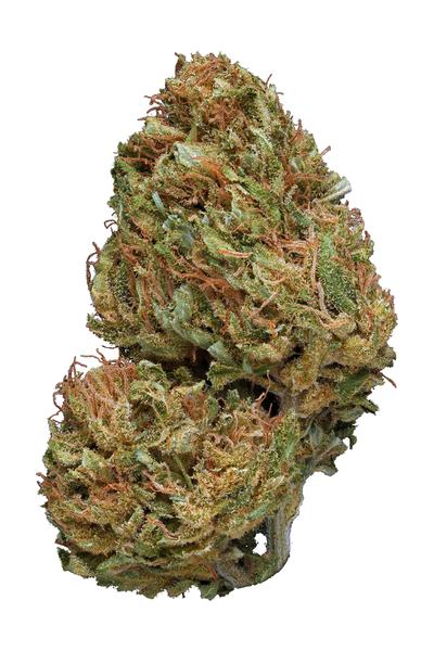CBD Wreck - Hybrid Cannabis Strain