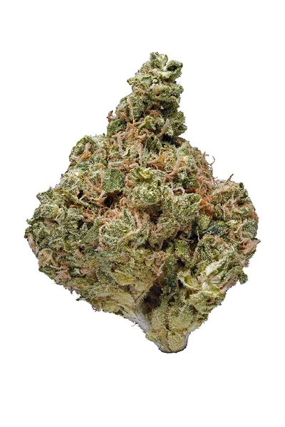 Cactus Cooler - Hybrid Cannabis Strain