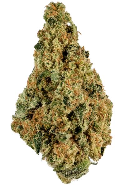 Cactus OG - Híbrida Cannabis Strain