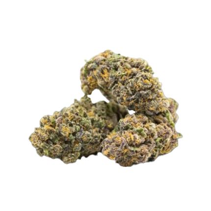 Bountiful Flower Bountiful Flower Product Image