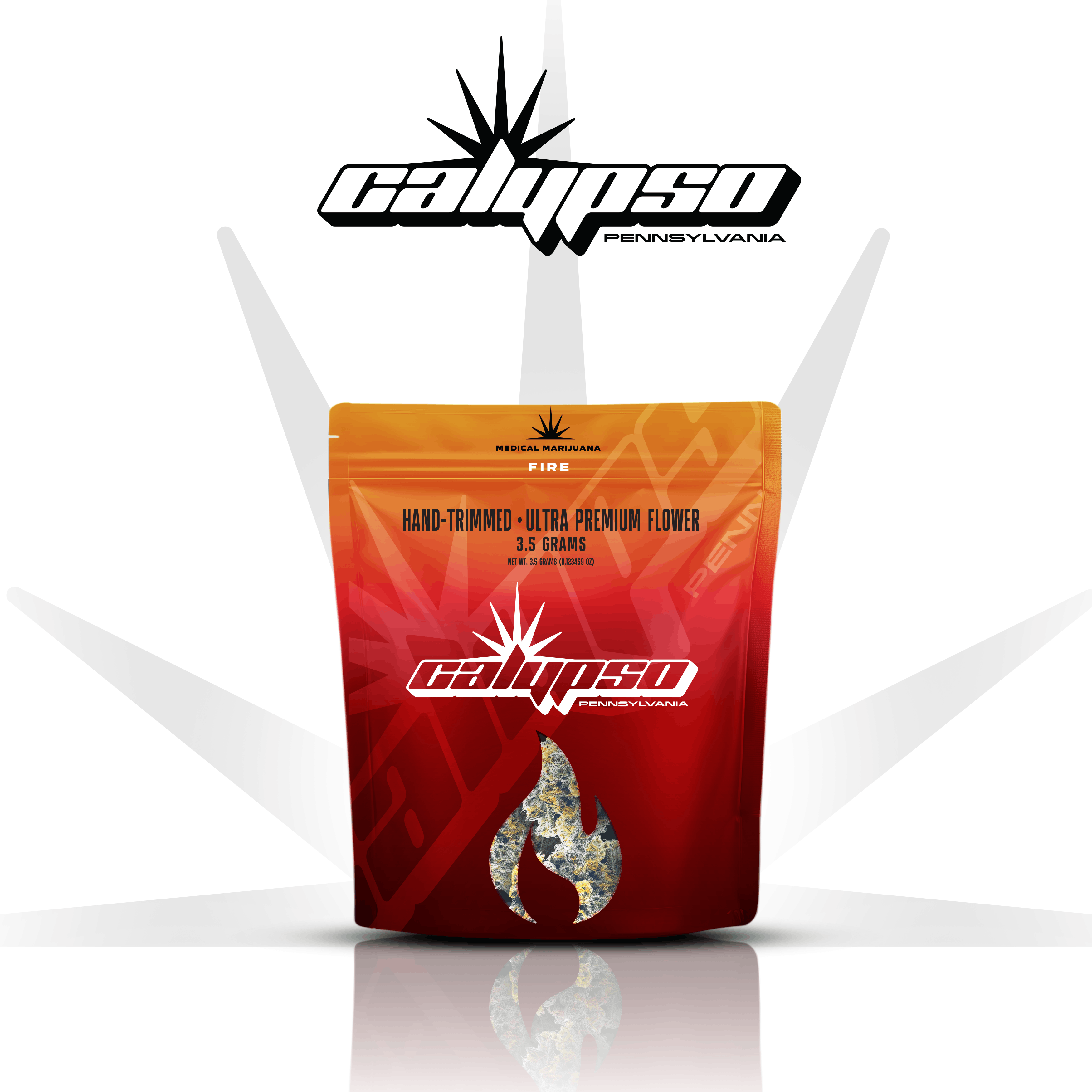 Fire Flower Product Image