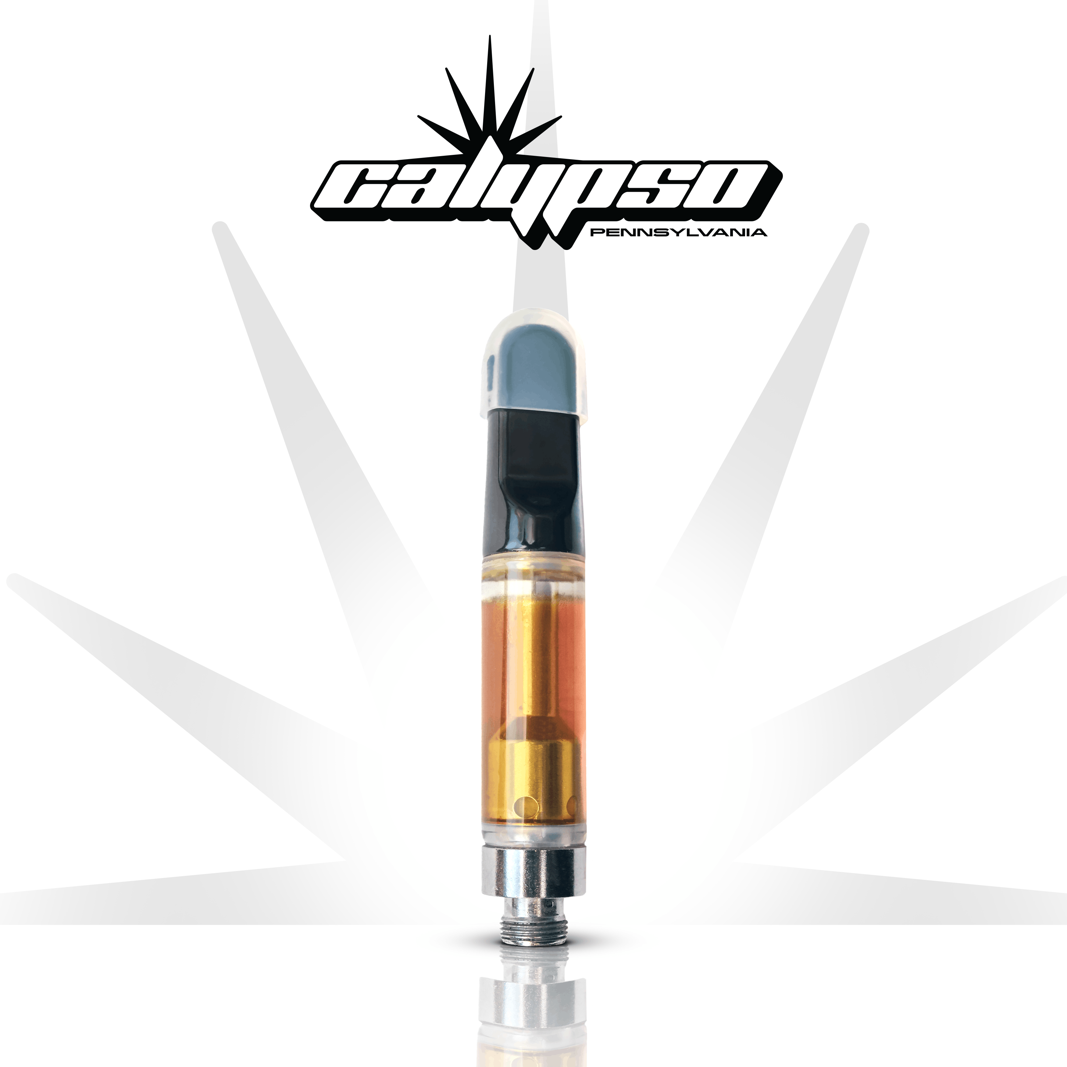 Flavored CO2 Cartridge Product Image