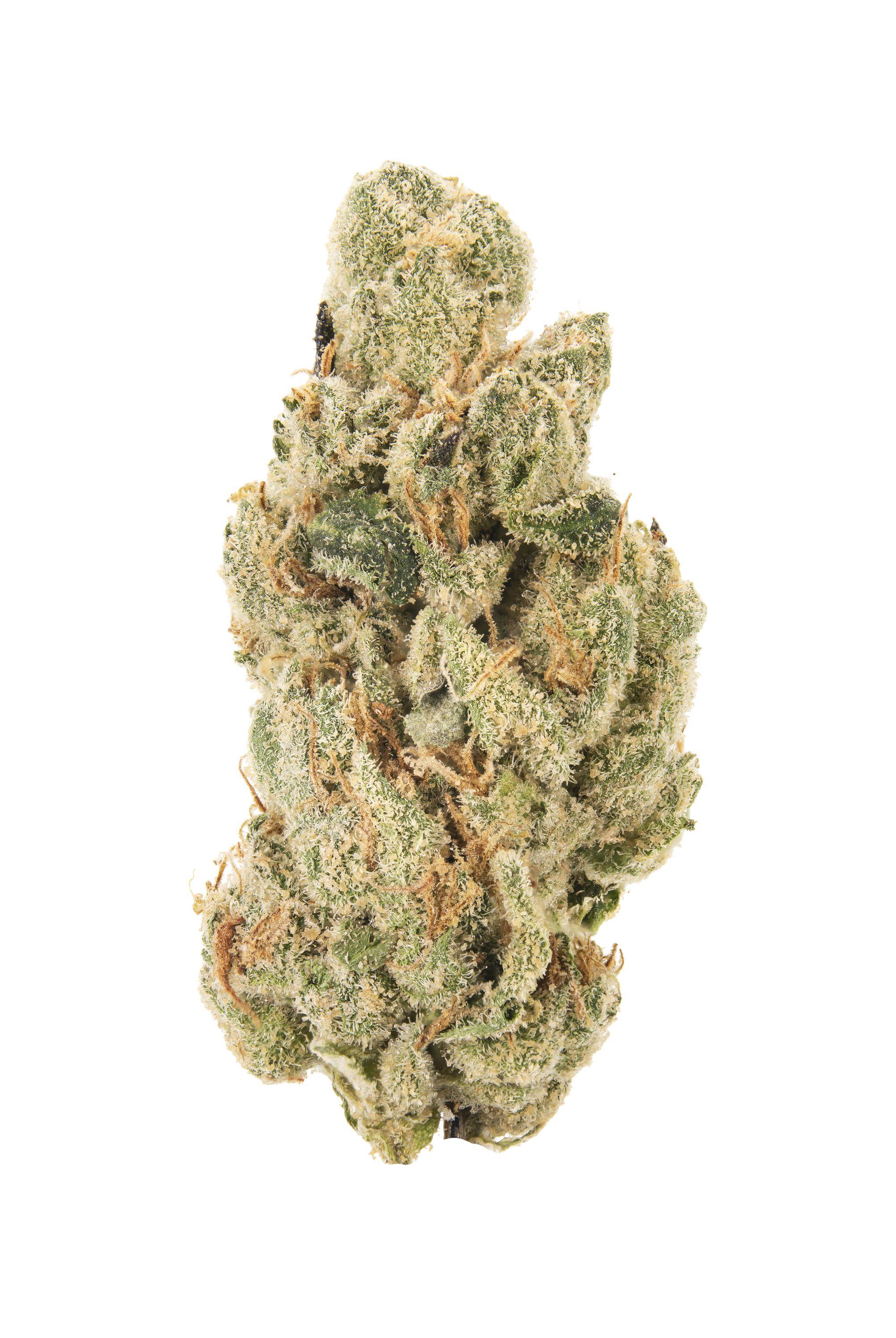 Canal Street Runtz Cannabis Strain Bud