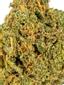 Candied Orange Pheno Hybrid Cannabis Strain Thumbnail