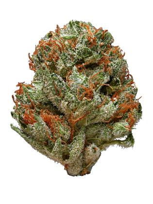 Candy Kush - Hybrid Cannabis Strain