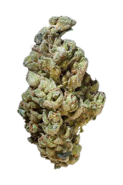 Candy - Híbrida Cannabis Strain