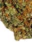 Cane's Cookies Hybrid Cannabis Strain Thumbnail