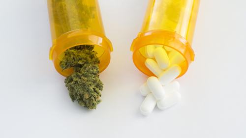 Cannabis and Prescription Drug Interactions