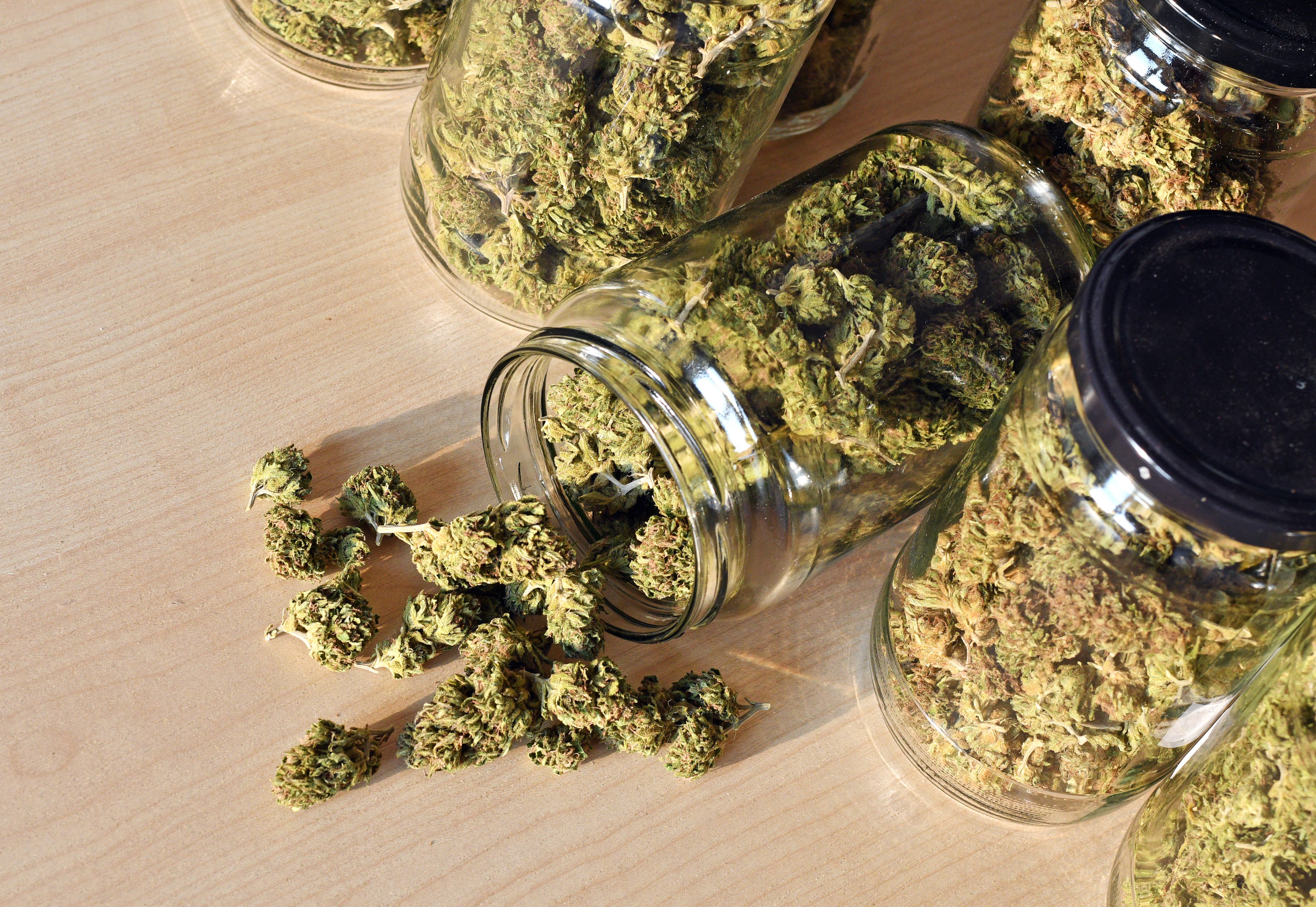 How to Store Your Best Cannabis Buds