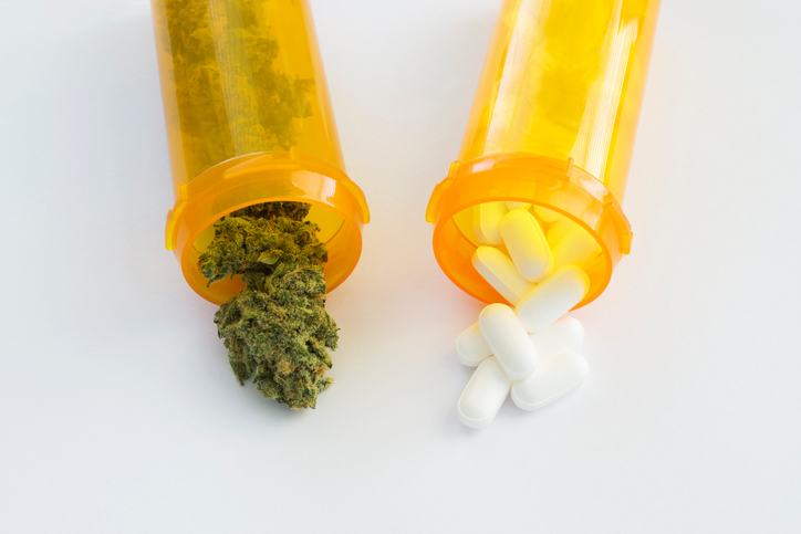 Legal Cannabis Cuts Prescription Drug Use Down by 34%