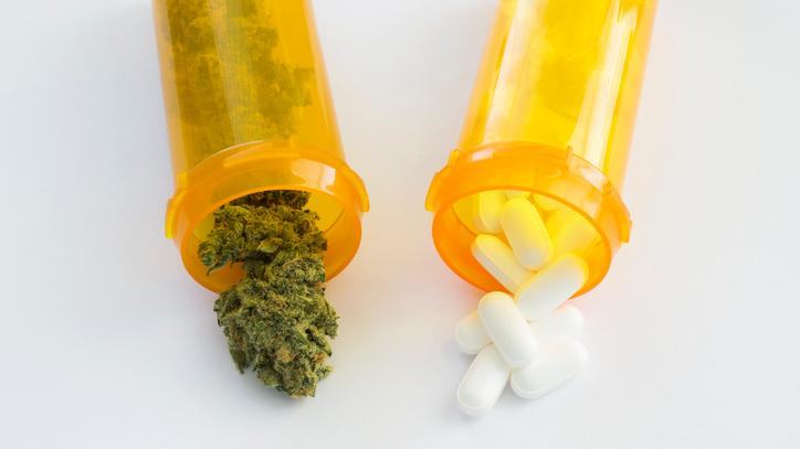 Legal Cannabis Cuts Prescription Drug Use Down by 34%