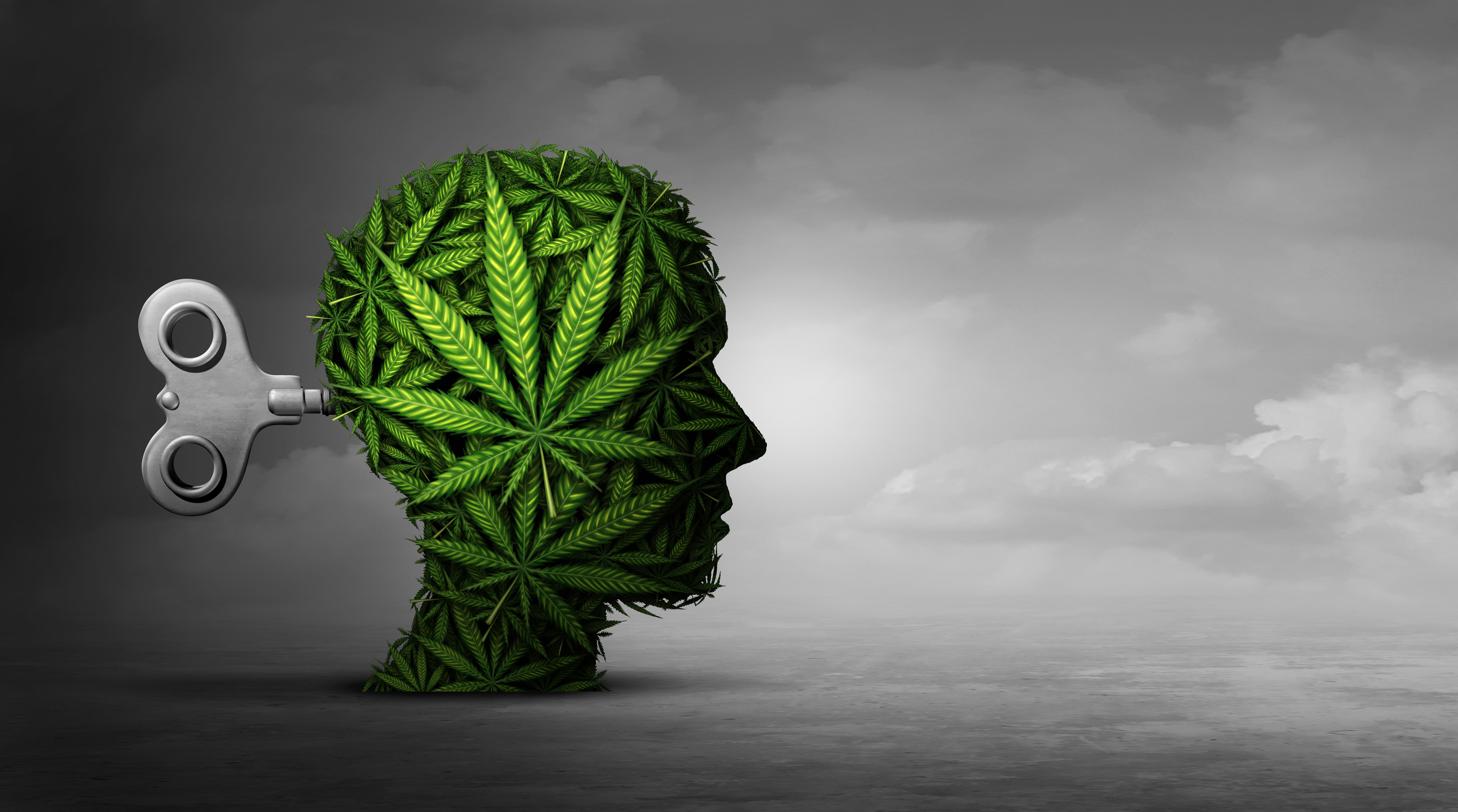 Cannabis and Psychotherapy? They're Working on It