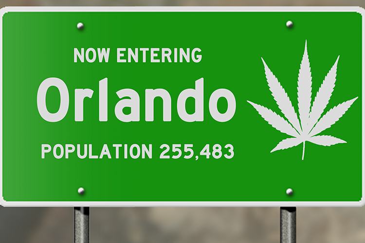 The Next Steps for Cannabis Enthusiasts in Florida