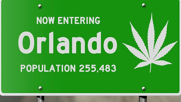 The Next Steps for Cannabis Enthusiasts in Florida