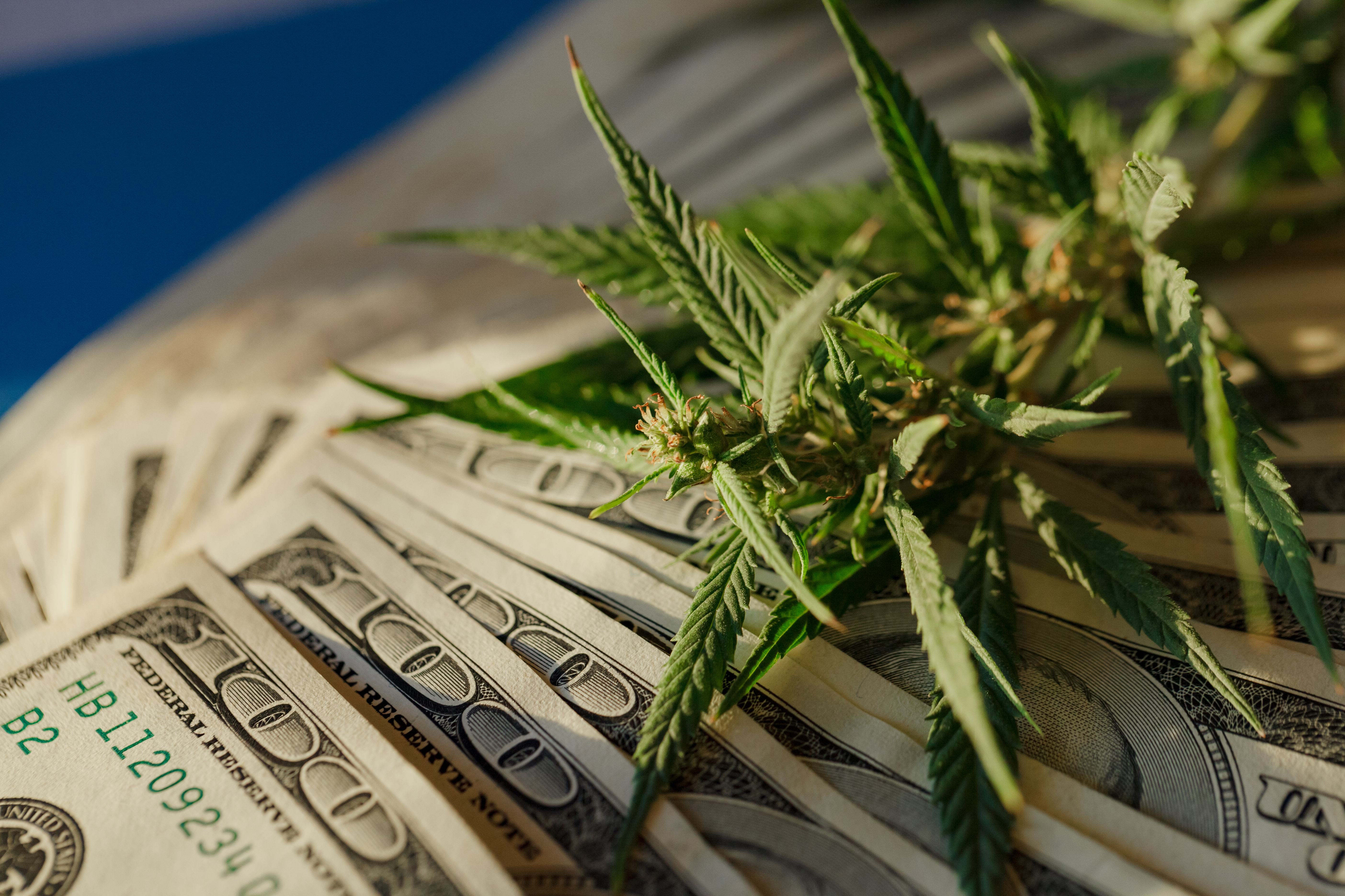 What's Standing in the Way of Cannabis Banking