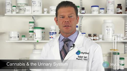 Cannabis & the Urinary System