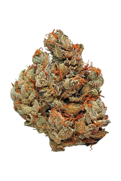 Cannadential - Hybrid Cannabis Strain