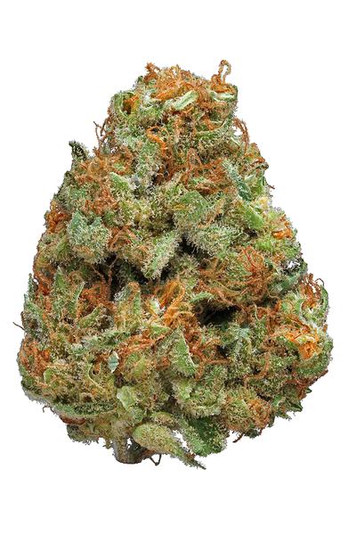 Cannalope Haze - Sativa Cannabis Strain