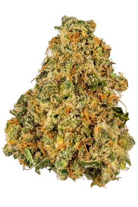 Casaba Melon - Híbrido Cannabis Strain