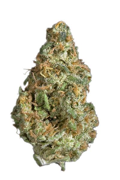 Casey Jones - Híbrida Cannabis Strain
