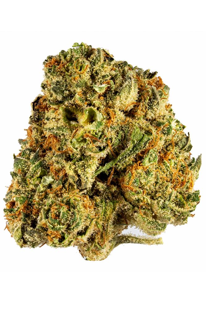 Mimosa by Symbiotic Genetics - Buy Weed Online - Green Society