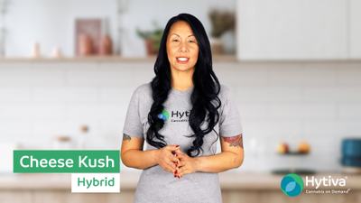 Cheese Kush - Hybrid Cannabis Strain