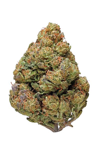 Cheese - Sativa Cannabis Strain