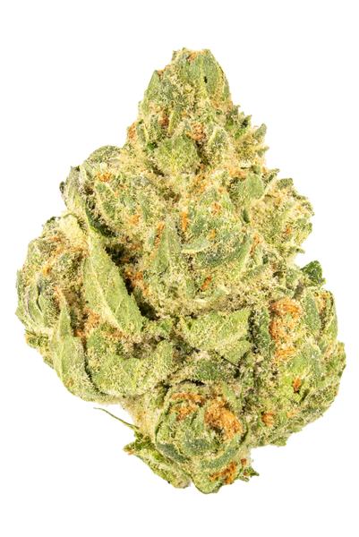Chem 91 - Hybrid Cannabis Strain