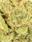 Chem 91 Hybrid Cannabis Strain Thumbnail