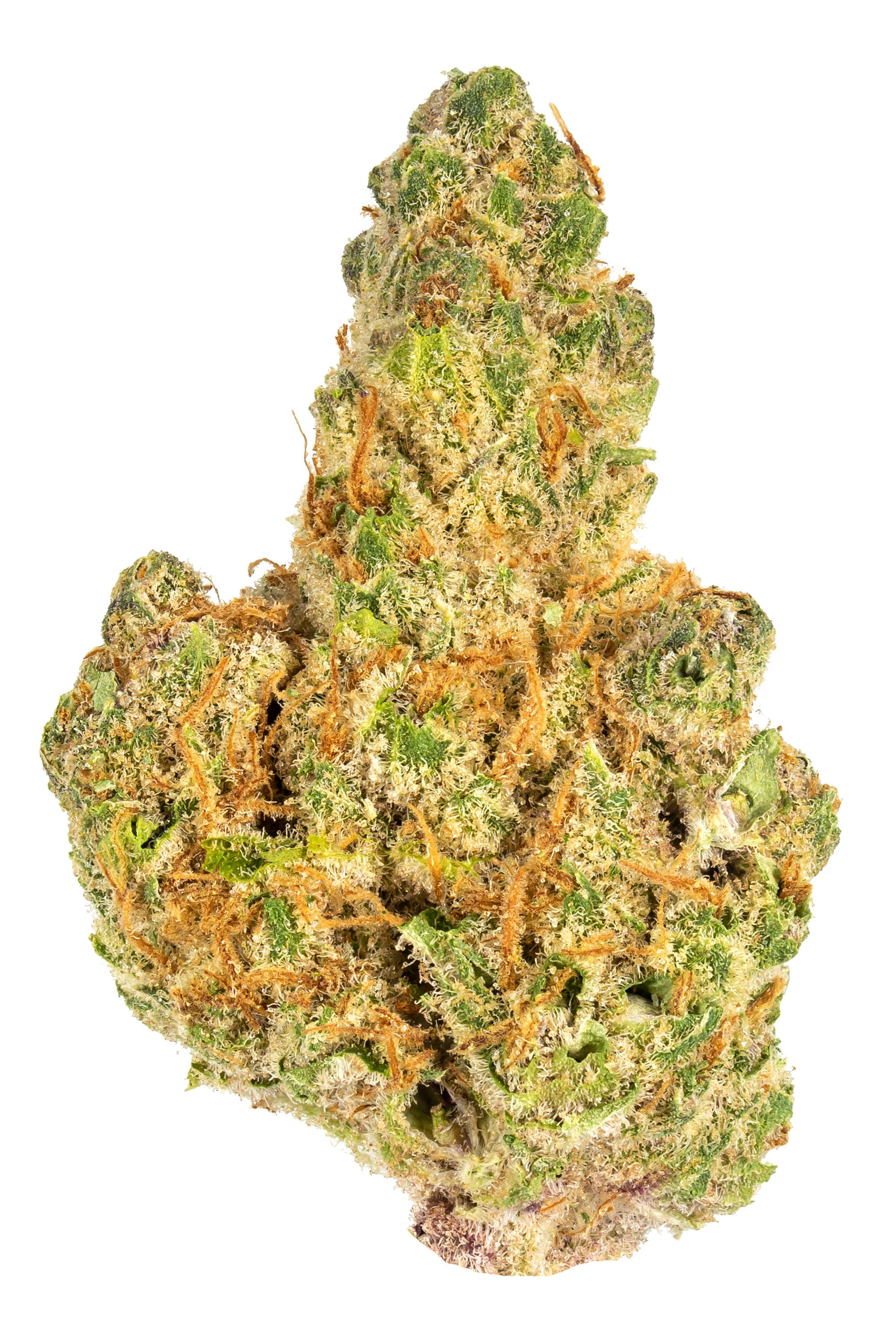 Chem T Haze Cannabis Seeds - Marijuana Grow Shop