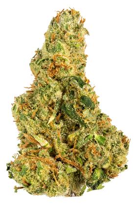 Chem D - Hybrid Cannabis Strain