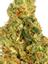 Chem D Hybrid Cannabis Strain Thumbnail