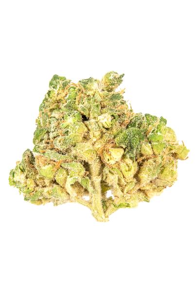 Chem Dogg x Moby - Hybrid Cannabis Strain