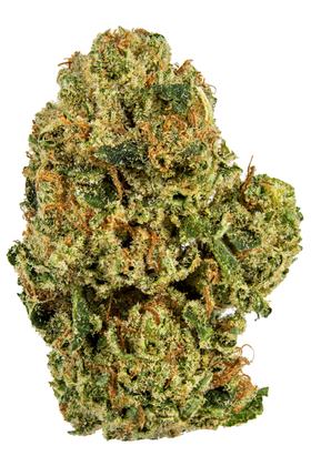 Chem Fernando Valley - Híbrida Cannabis Strain