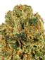 Chem Fernando Valley Hybrid Cannabis Strain Thumbnail