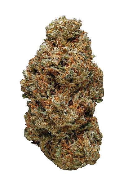 Chem Sour - Hybrid Cannabis Strain