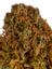 Chem Trails Hybrid Cannabis Strain Thumbnail