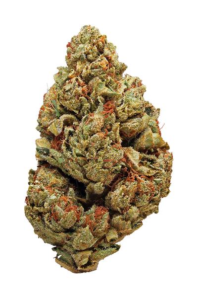 Chem Valley Kush - Hybrid Cannabis Strain