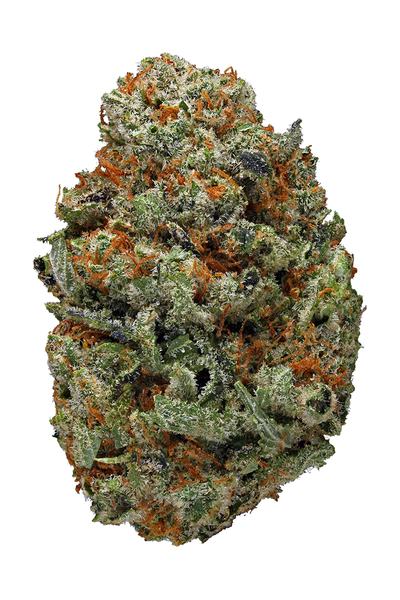 Chemband - Hybrid Cannabis Strain