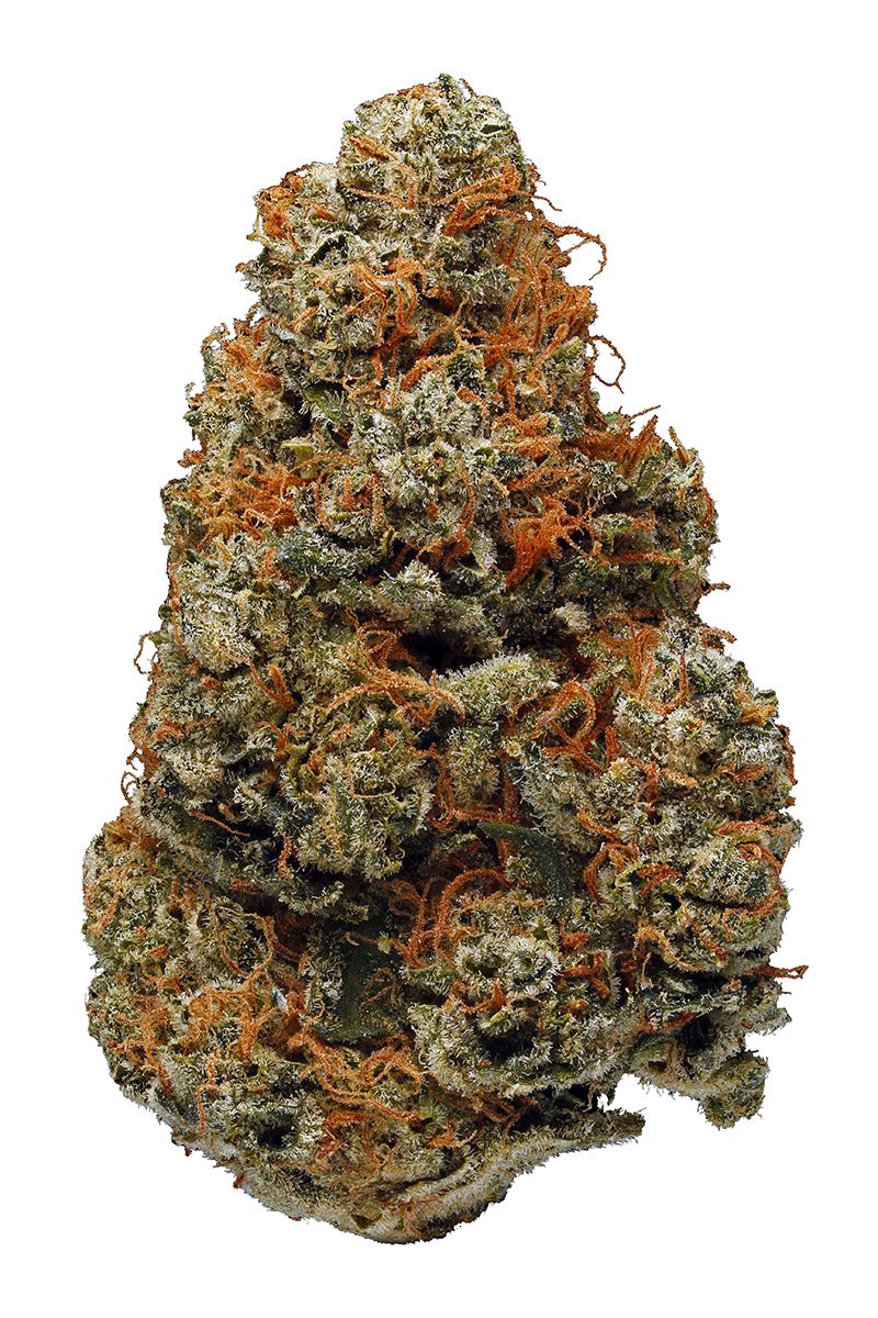 Chemdawg OG - Hybrid Cannabis Strain
