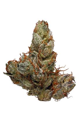 Chemdawg Sour Diesel - Híbrido Cannabis Strain