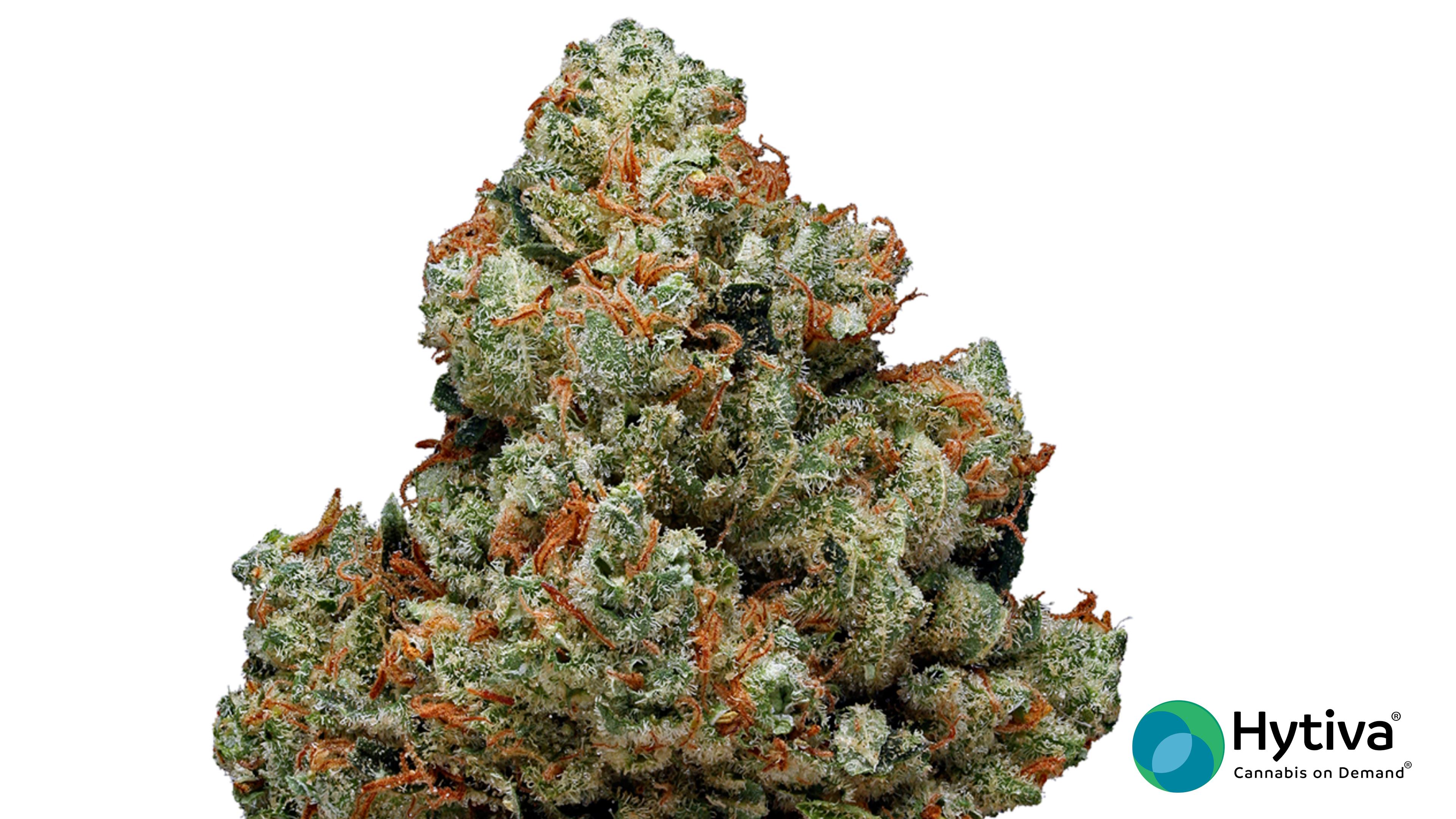 Chemdawg - Sativa Cannabis Strain