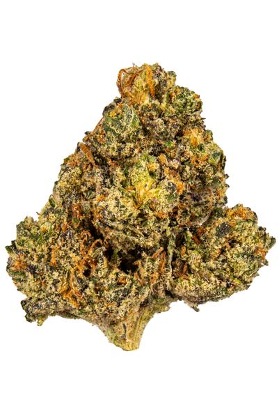 Chemlato - Hybrid Cannabis Strain