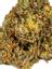 Chemlato Hybrid Cannabis Strain Thumbnail
