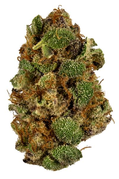 Cherp - 混合物 Cannabis Strain