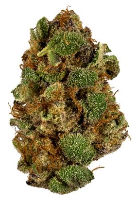Cherp - Hybrid Cannabis Strain
