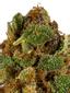 Cherp Hybrid Cannabis Strain Thumbnail